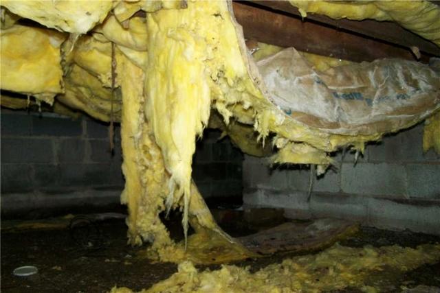 Soggy Insulation