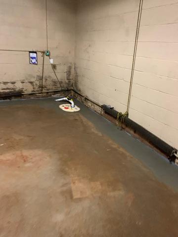 TripleSafe Sump Pump System