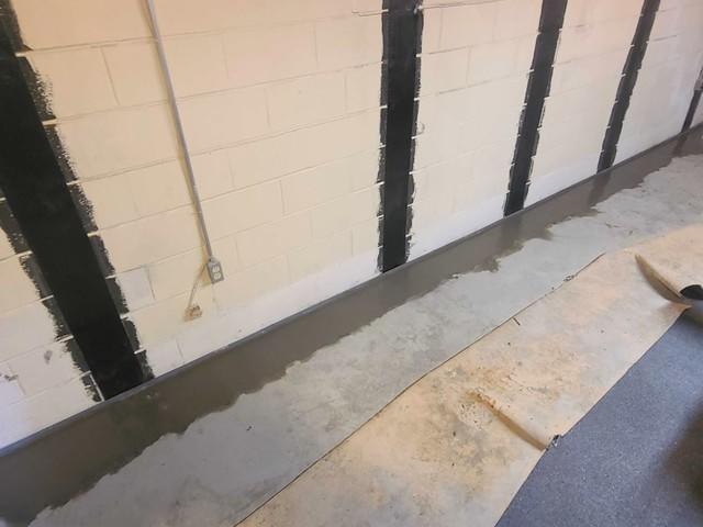 CarbonArmor Over Installed WaterGuard