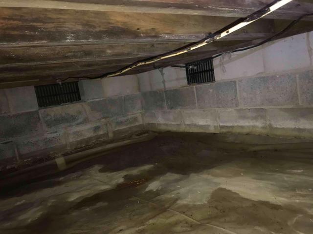 Foundation Walls