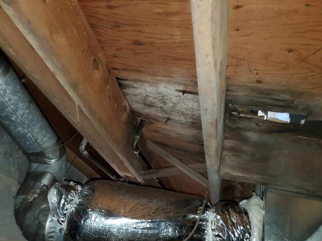 He noticed signs of moisture in the crawl space which had caused damage to the beams and the wood.