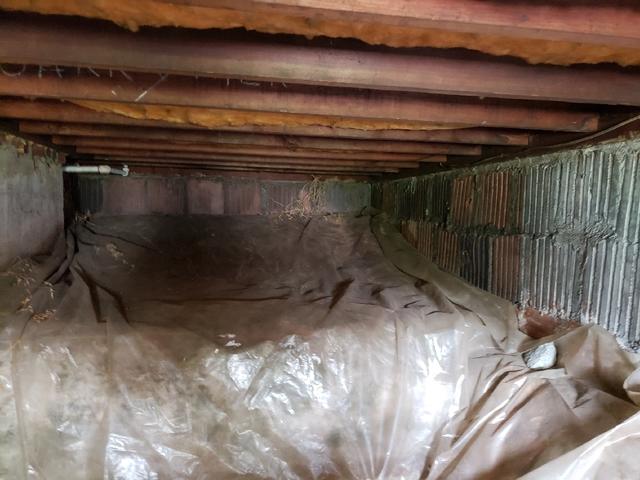 Nasty Crawl Space