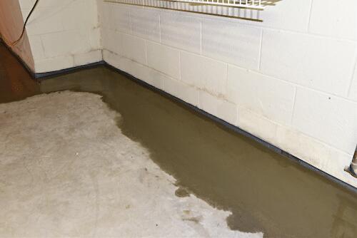 Wet Basement Waterproofed in Carleton, MI