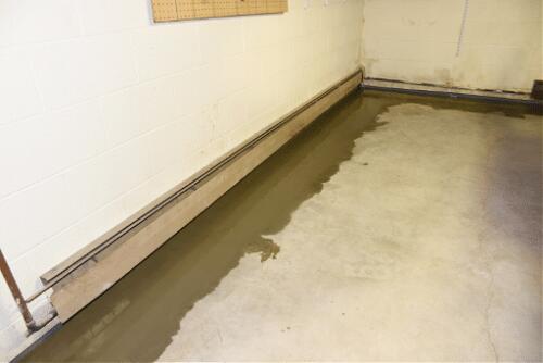 Wet Basement Waterproofed in Carleton, MI