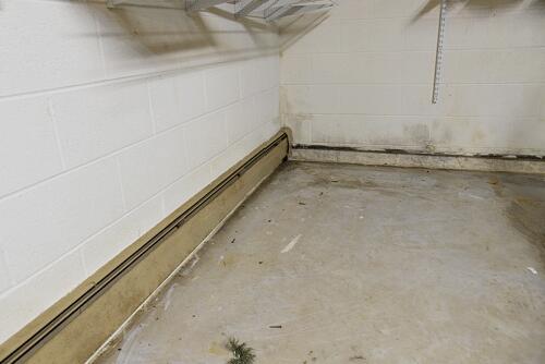 Wet Basement Waterproofed in Carleton, MI