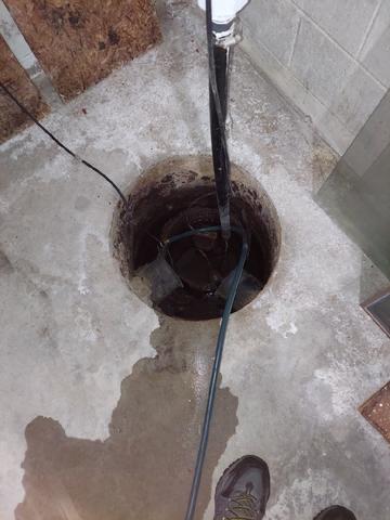 Existing Sump Pump in Basement