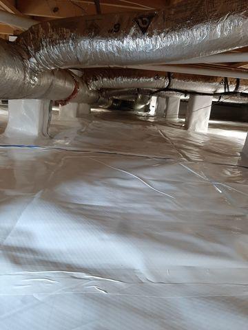 CleanSpace Liner