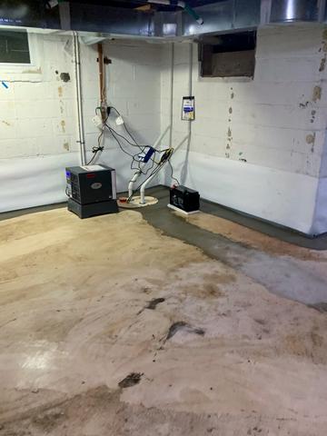 TripleSafe Sump Pump & Sedona Dehumidifier