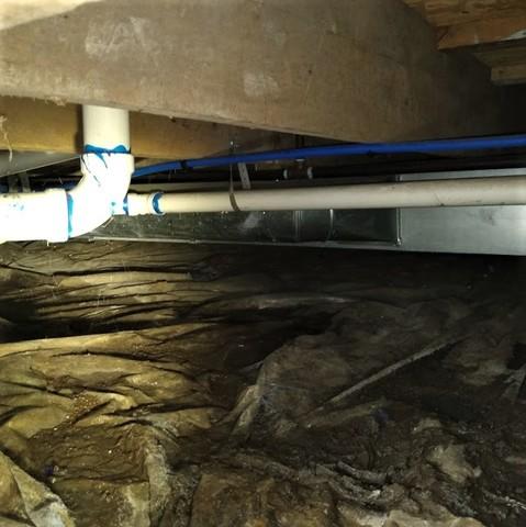 Crawl Space Stabilized in Monroe, MI