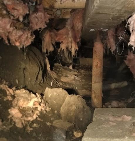 Crawl Space Stabilized in Monroe, MI