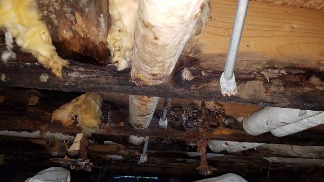 Rotting, Moldy, Wet Crawl Space Waterproofed in Whitmore Lake, MI