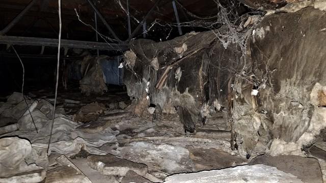 Crawl Space Encapsulated in Milford, MI