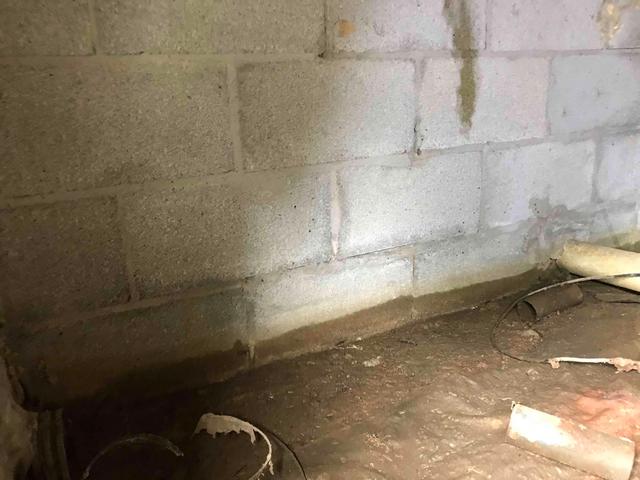 Unhealthy Crawl Space