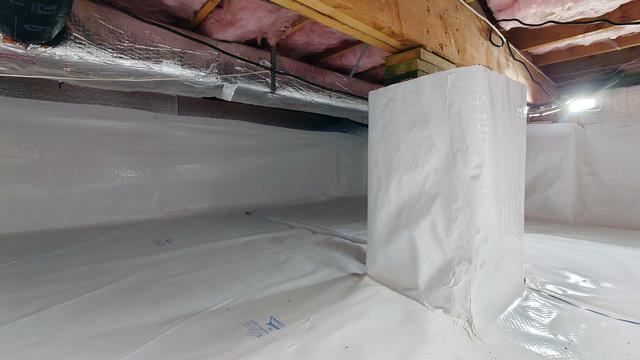 CleanSpace