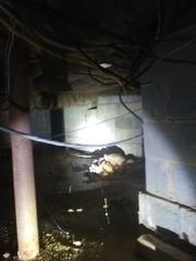 Crawl Space Inspection