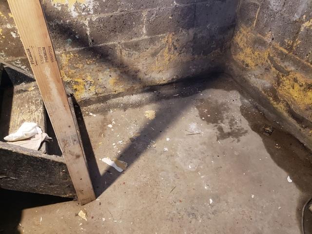 Water Seeping into Basement in Hazel Park, MI