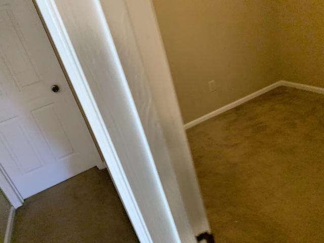 After closet clean up.