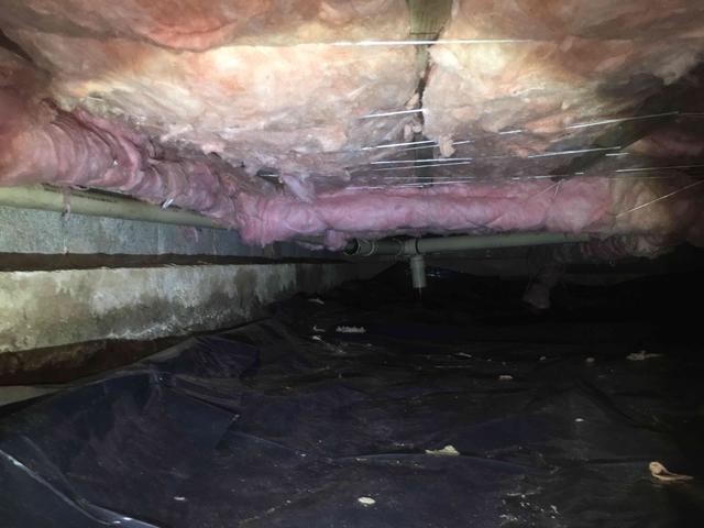 Old Crawl Space