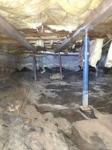 Unhealthy Crawl Space