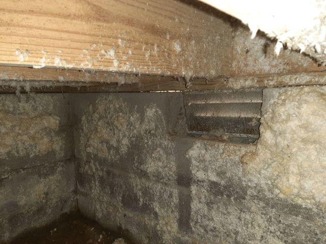 An uncovered soil ground is the reason for a lot of moisture in this crawl space. Every crawl space needs a thick vapor barrier liner that will stop the moisture from unleashing into your space and infecting your wood beams.