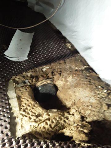 Moisture and Microbes Shouldn't Mix