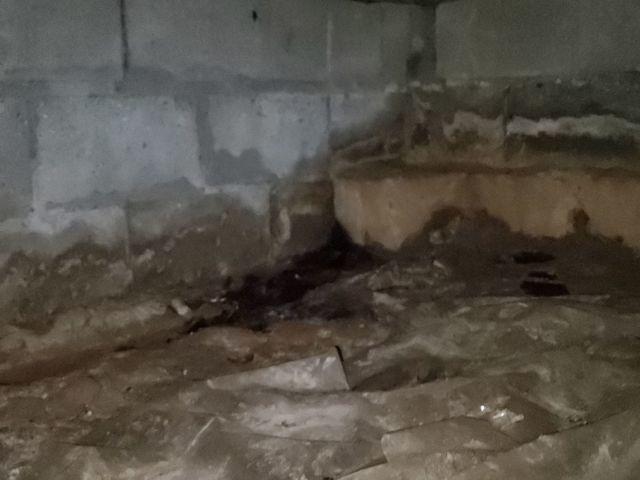 Where Does The Water in My Crawl Space Come From?