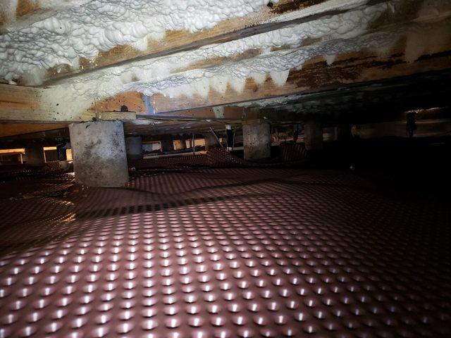 During Crawl Space Remediation