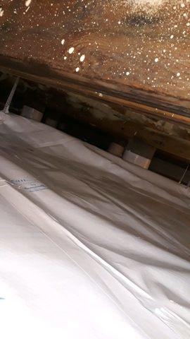 After Crawl Space Remediation