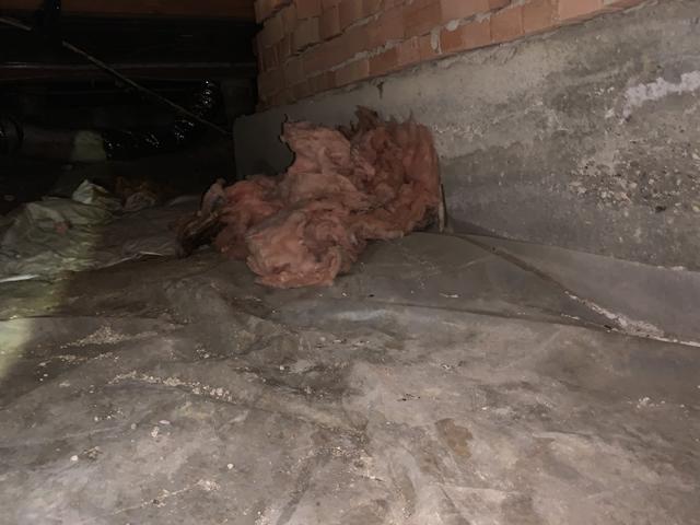 Before Crawl Space Remediation