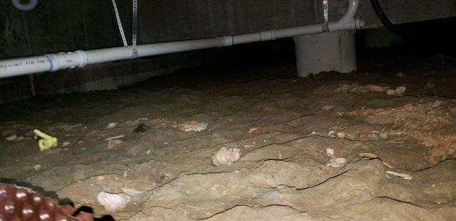 Before Crawl Space Remediation
