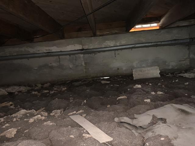 Before Crawl Space Remediation