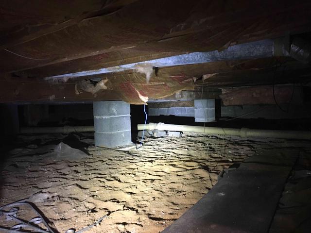 Damp and Dark Crawl Space