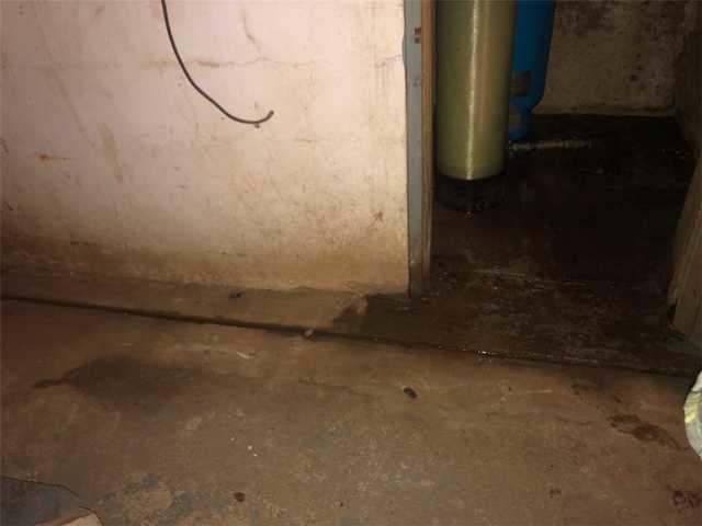 Wet and Damp Basement