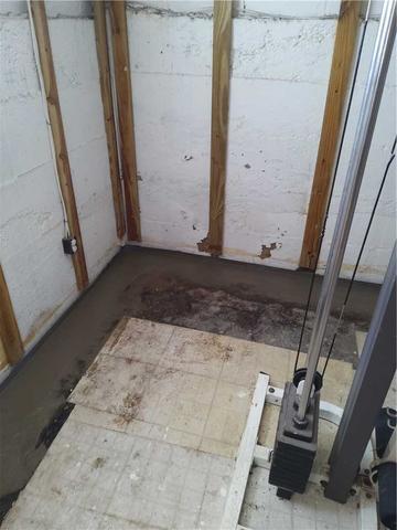 Leaking Water and Condensation Will Lead to Mold Growth