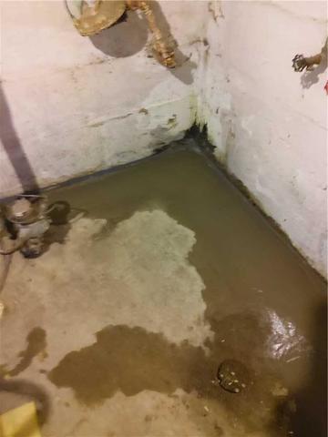 <p>As you can see in this photo, the standing water led to black mold growth. Those spores will enter the HVAC system and enter your living space. Mold excacerbates allergies, asthma and other respiratory illnesses.&nbsp;</p>