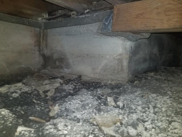 Before Crawl Space Remediation