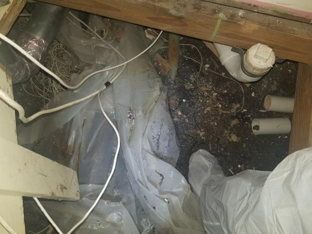 Before Crawl Space Remediation