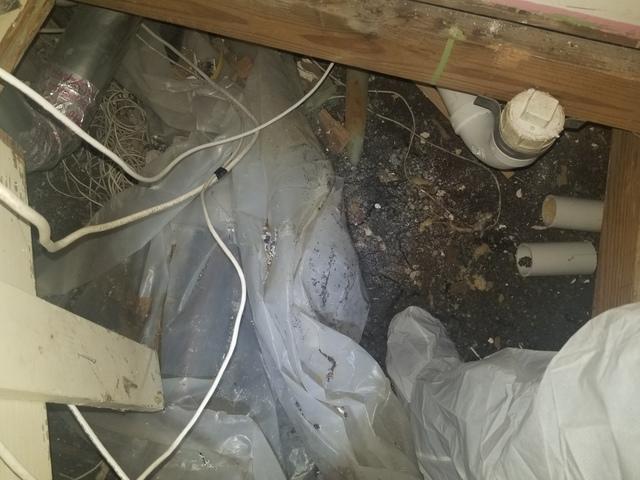 Before Crawl Space Remediation