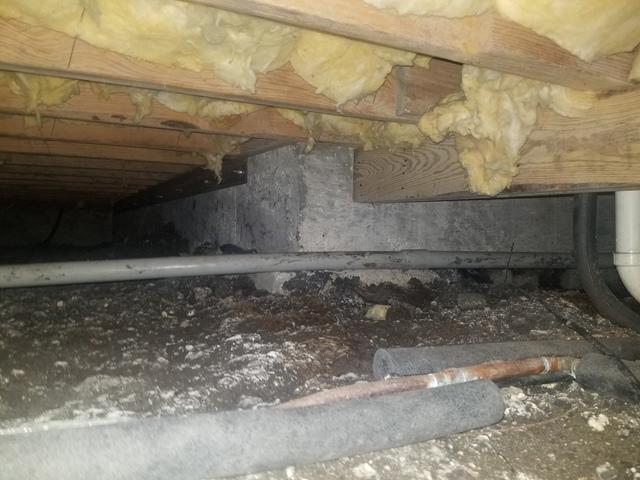 Before Crawl Space Remediation