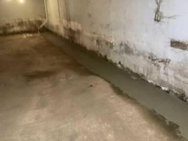 WaterGuard System