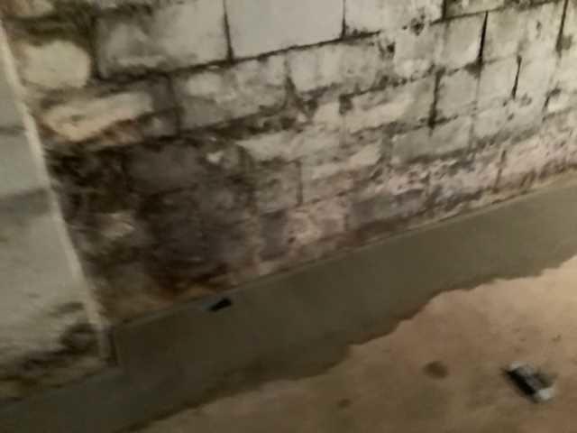WaterGuard System
