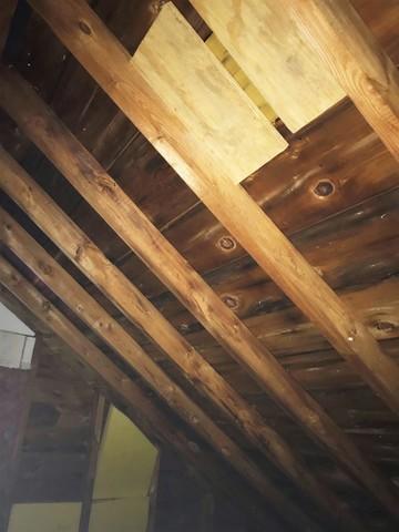 Mildew Growth in Attic