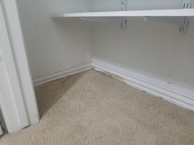Mold Remediation Before