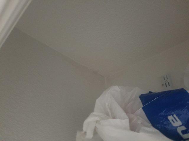 Mold Remediation Before