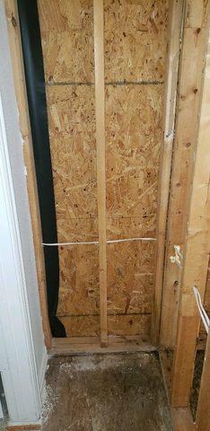 Mold Remediation After