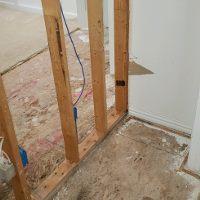 Mold Remediation After