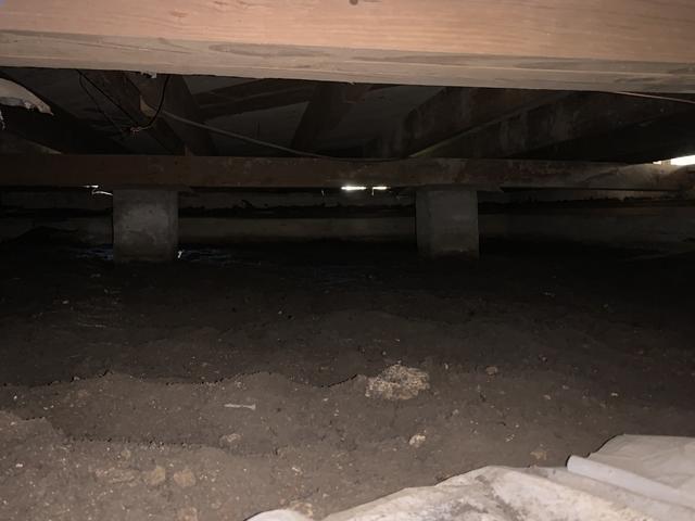Before Crawl Space Remediation