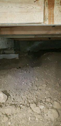 Before Crawl Space Remediation