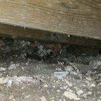 Before Crawl Space Remediation