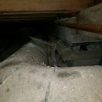 Before Crawl Space Remediation